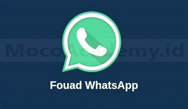 Download Fouad WhatsApp