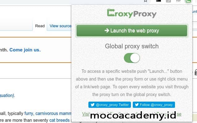 Cara Pakai CroxyProxy Gratis, Kelebihan dan Fiturnya